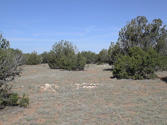 3rd image of 8766 Cibola Dr
