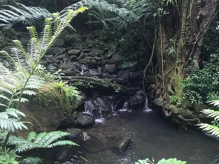 Nearby Hiking
