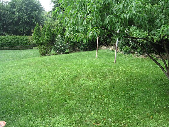lawn area
