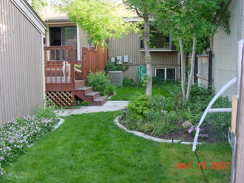 Back yard