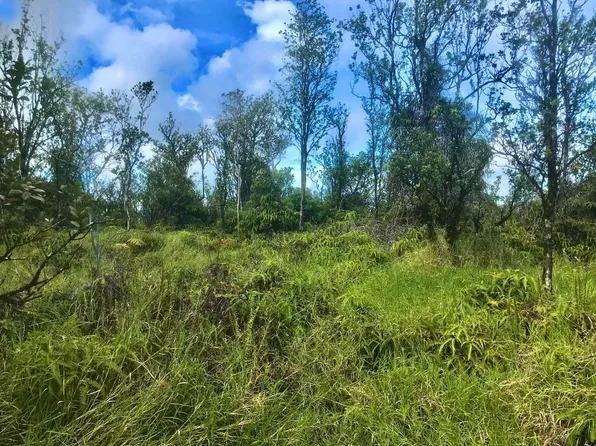 Mailenani Rd Lot 11, Volcano, HI 96785
