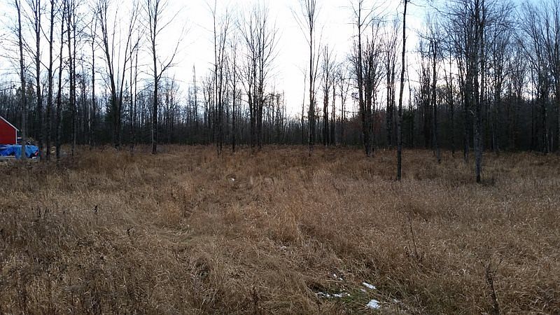 2nd image of W653 Kasparek Rd