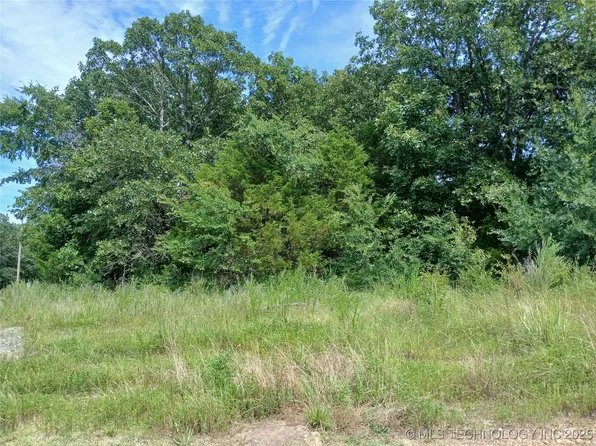 County Road 1260, Dustin, OK 74839