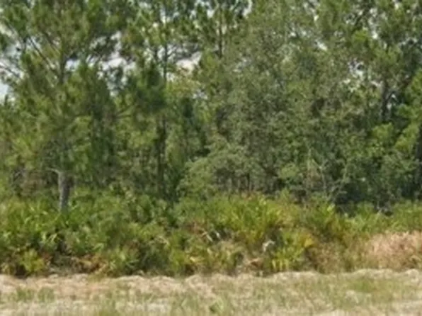 3011 W Dixon Rd, Avon Park, FL 33825