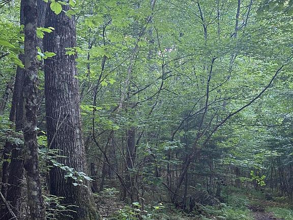 4th image of Lot #22 Streaked Mountain Road