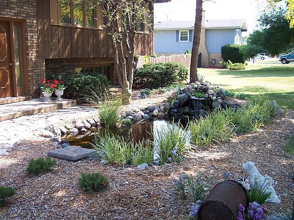 Koi Pond