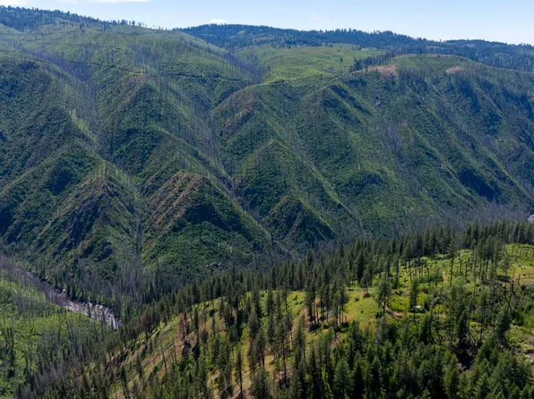 0 Forest Garden Ln Parcel 4, Weippe, ID 83553