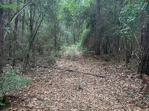3rd image of 49 Highway