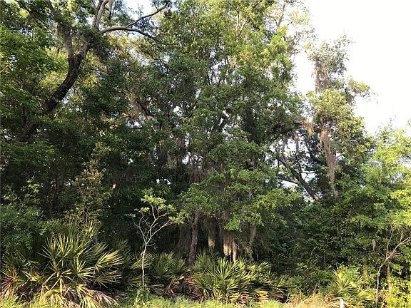 4th image of 207 Barrington Oaks Dr