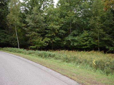 65 Opal Ridge Dr, Onekama, MI, 49675
