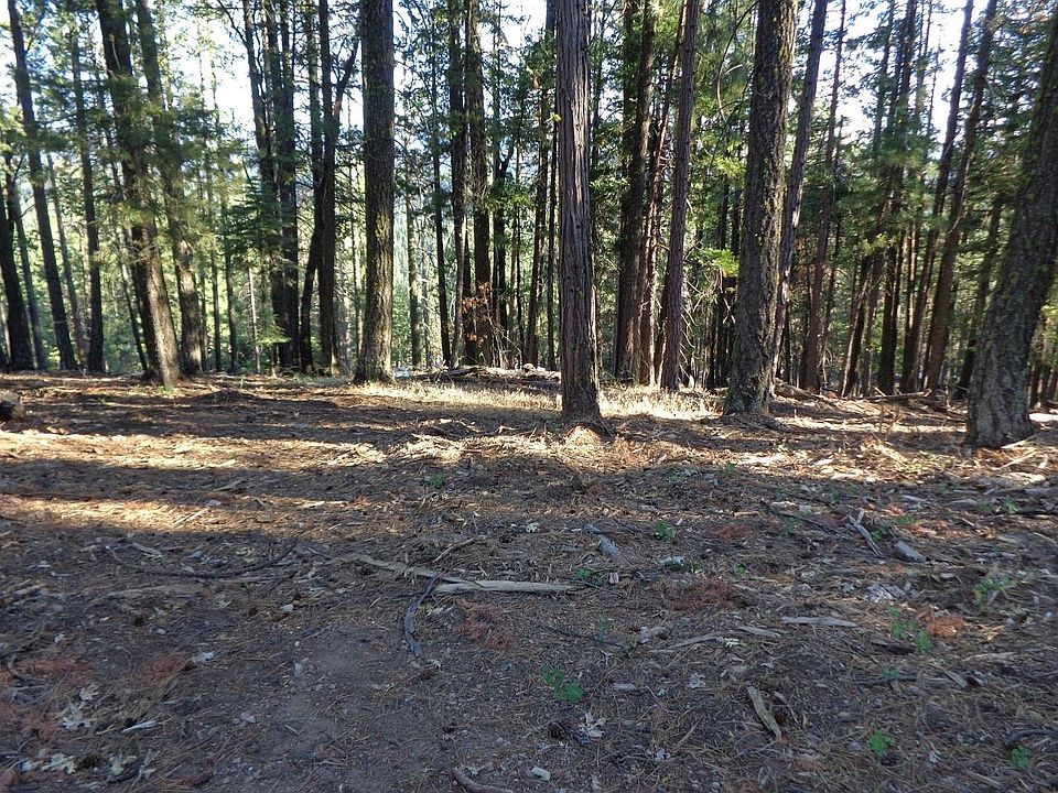 2nd image of 2620 Fern Rdg