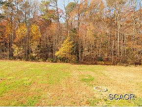 2nd image of 36036 Country Ln