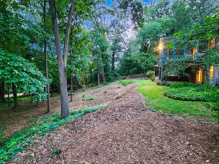 Wooded back yard w gentle slope