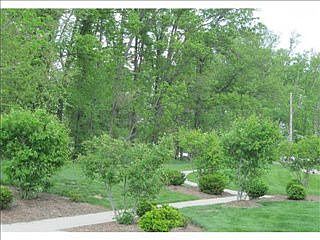 4th image of 6228 Whitespire Dr