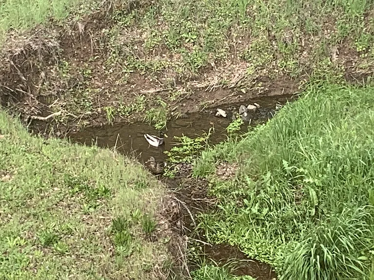 Strolling Hills Rd — Photo 15