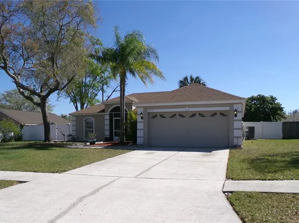 15015 Trail Creek Pl, Tampa, FL 33625