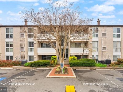 5600 Bloomfield Dr APT 4, Alexandria, VA, 22312