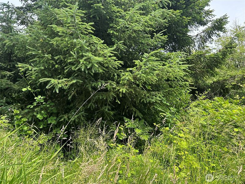 2nd image of 3474 Old Highway 99 Road N