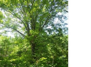 Henderson Dr, Hot Springs, NC 28743