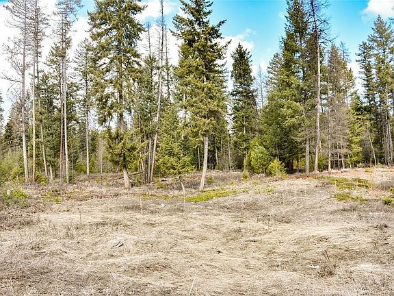 5th image of 1A Meadow Springs Rd