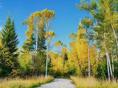 S State Line Rd, Alta, WY, 83414