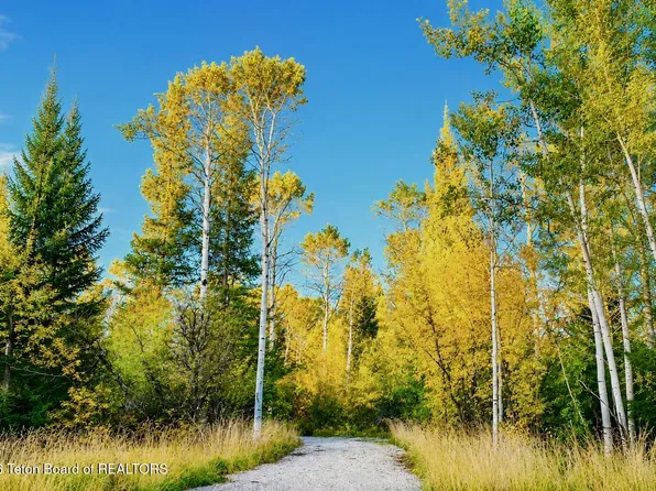 S State Line Rd, Alta, WY 83414