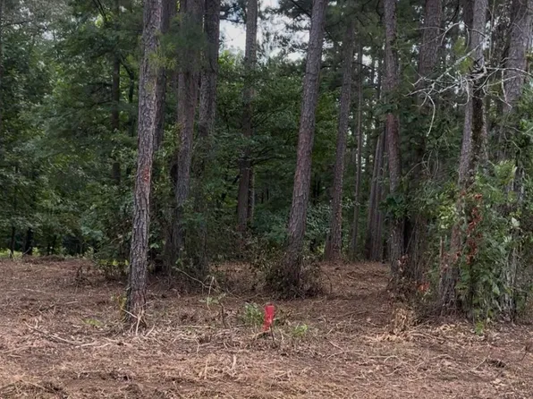 (undisclosed Address), Clinton, AR 72031