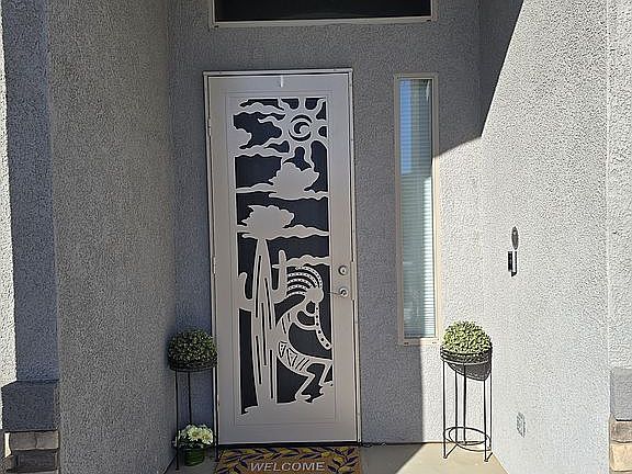 Custom desert storm door