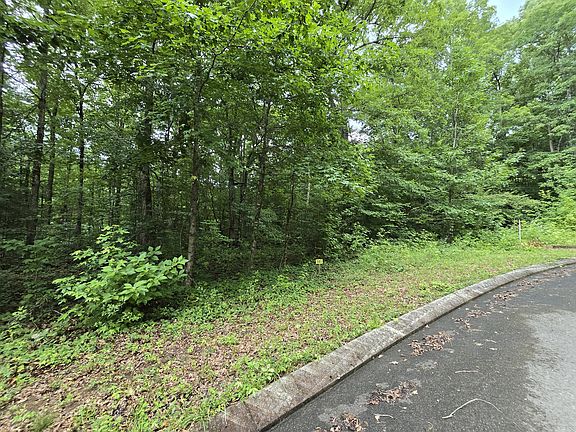 3rd image of LOT 141 Lower Brow Rd