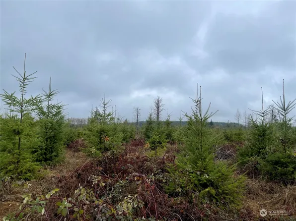 1 xx Oppelt Road, Onalaska, WA 98570