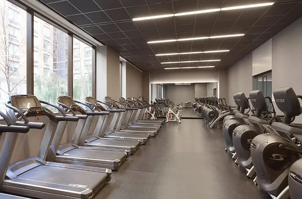 Rented by Gotham Organization | media 47