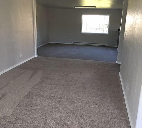 4th image of 1516 N 13th Ave