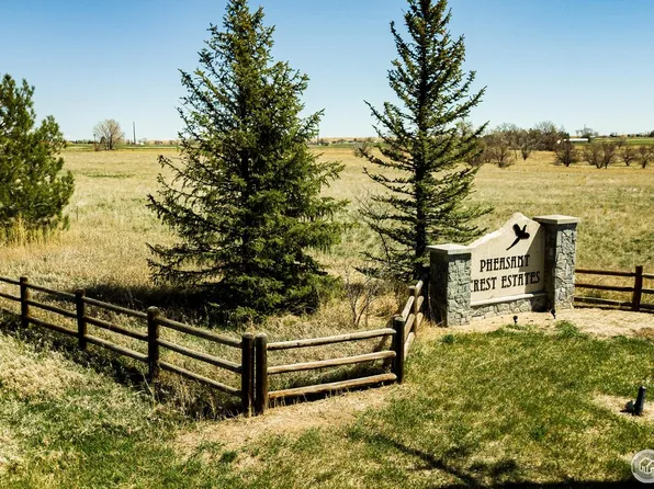 6146 Pheasant Crest Dr, Fort Collins, CO 80524