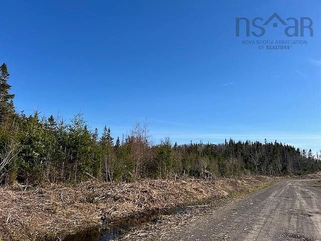 2nd image of Salmon River Rd