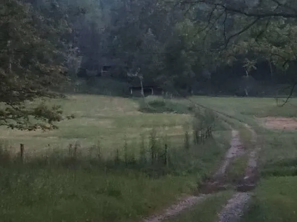 2575 Meadow Run Rd, Orma, WV 25268