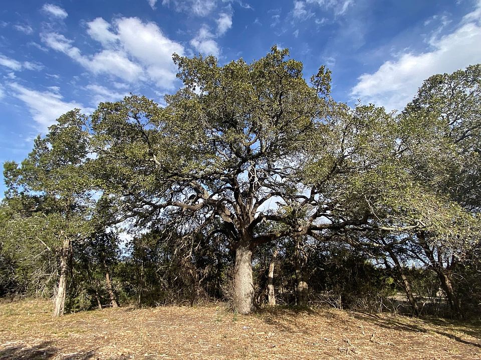 Liberty Hill ISD Land For Sale