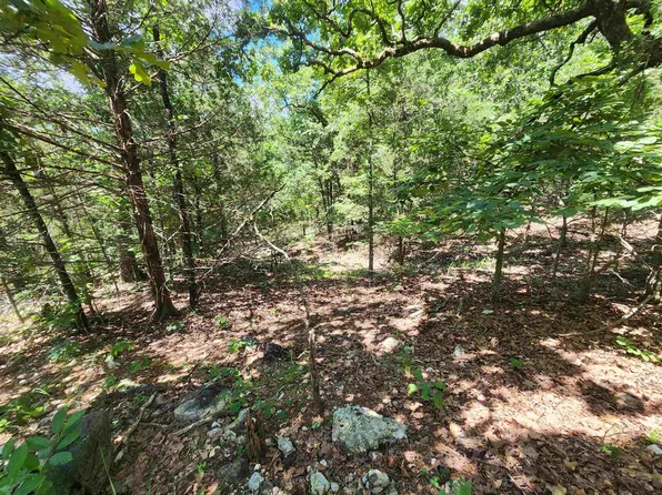 L35b2 Black Cloud Cir, Cherokee Village, AR 72529