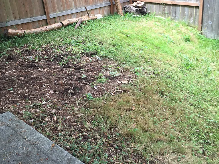 7105 Lower Ridge Rd #A — Photo 14