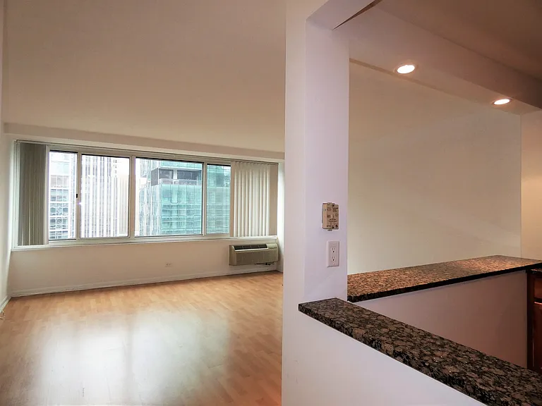 211 E Ohio St #2719 — Photo 10