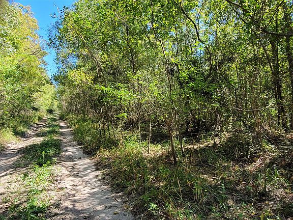 4th image of 10785 Fm 2518 Rd