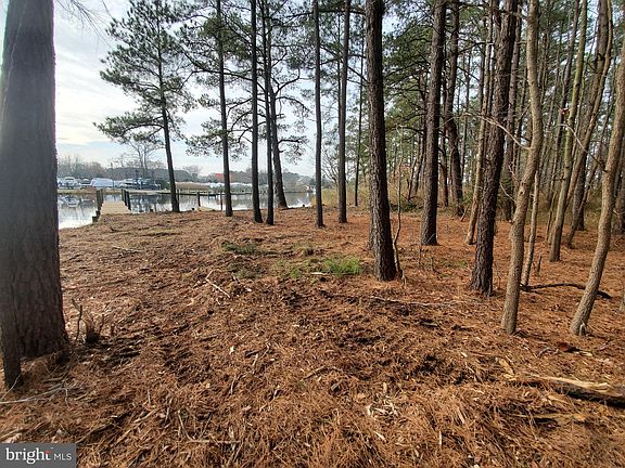 3rd image of Hissey Winchester Creek Rd