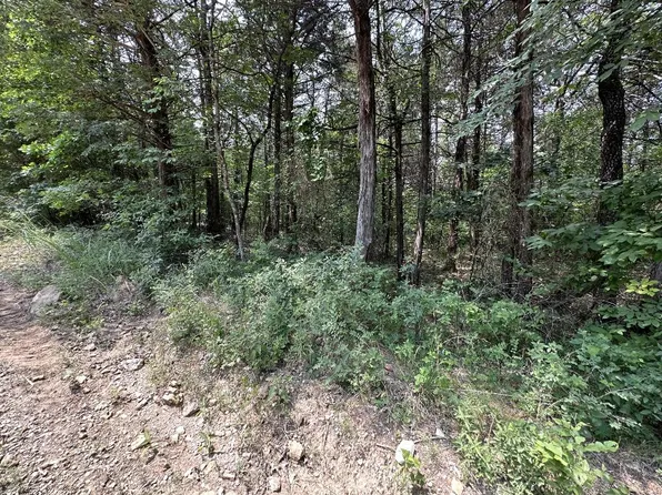 14 W Sunset Dr, Lead Hill, AR 72644