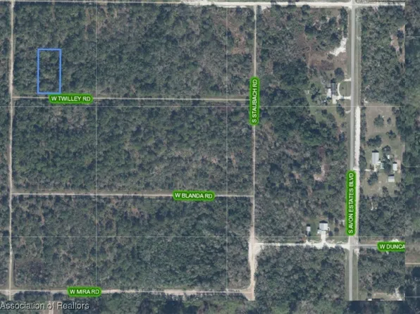 2946 W Twilley Rd, Avon Park, FL 33825