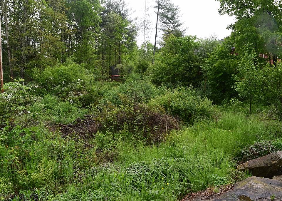 1st image of 176 Hickory Ave