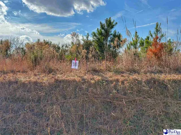 LOT 16 E Academy St, Latta, SC 29565