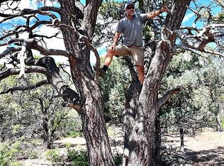 140 Cedar Lane W, Ridgway, CO 81432