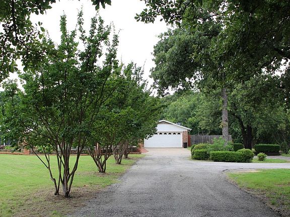 Front Driveway lined with Crype Myrtles