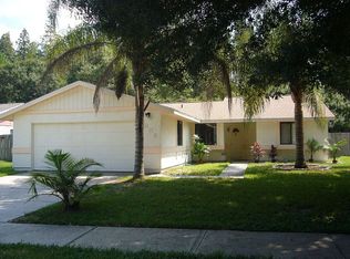 5336 Black Pine Dr, Tampa, FL 33624