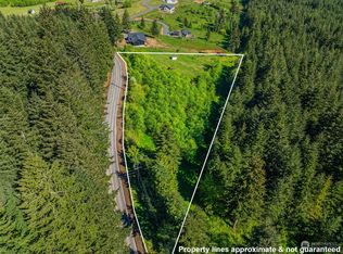 118 Bullhead Dr, Castle Rock, WA 98611