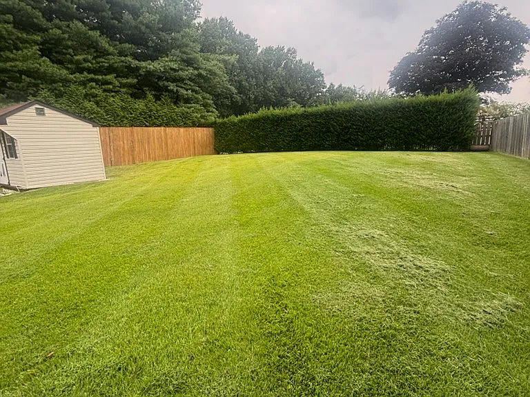Nice back yard partially fenced in! Mowing provided by property management.